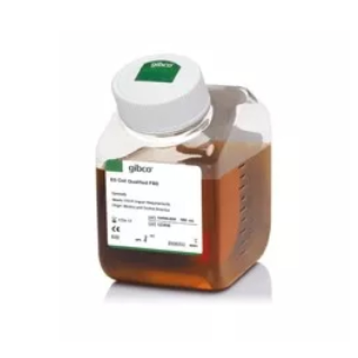 Fetal Bovine Serum